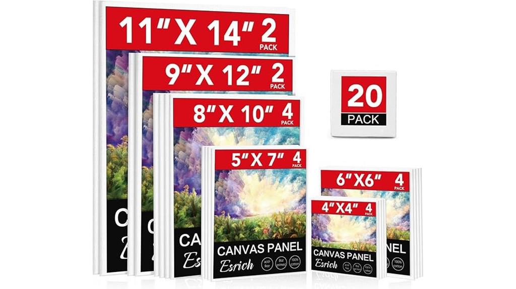 20 pack canvas boards