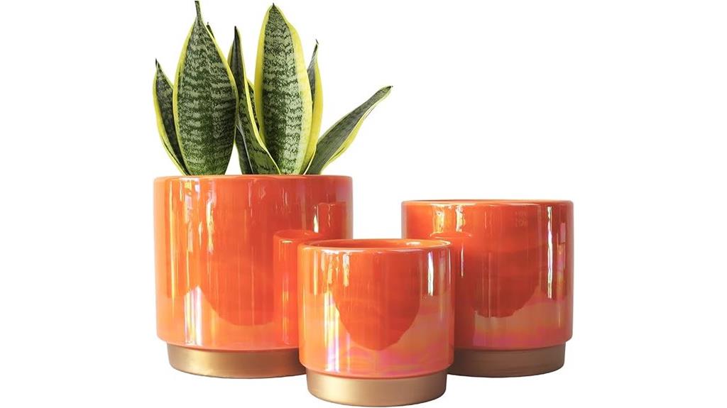 colorful ceramic plant pots