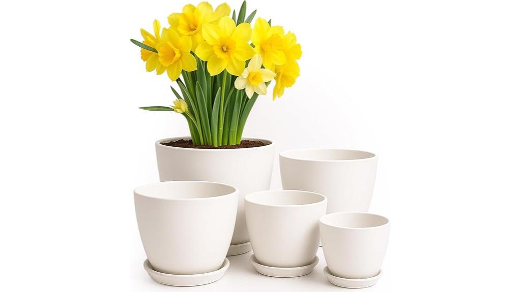 indoor plant pots pack