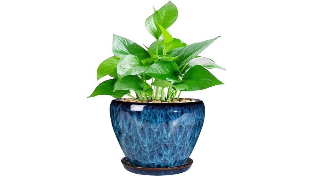 modern ceramic succulent planter