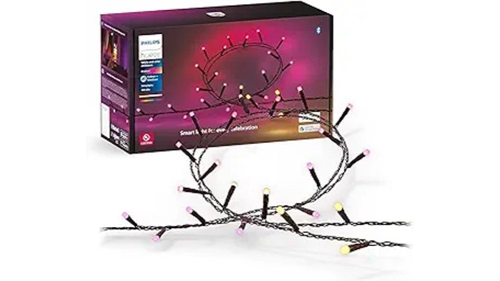 outdoor 65 foot string lights