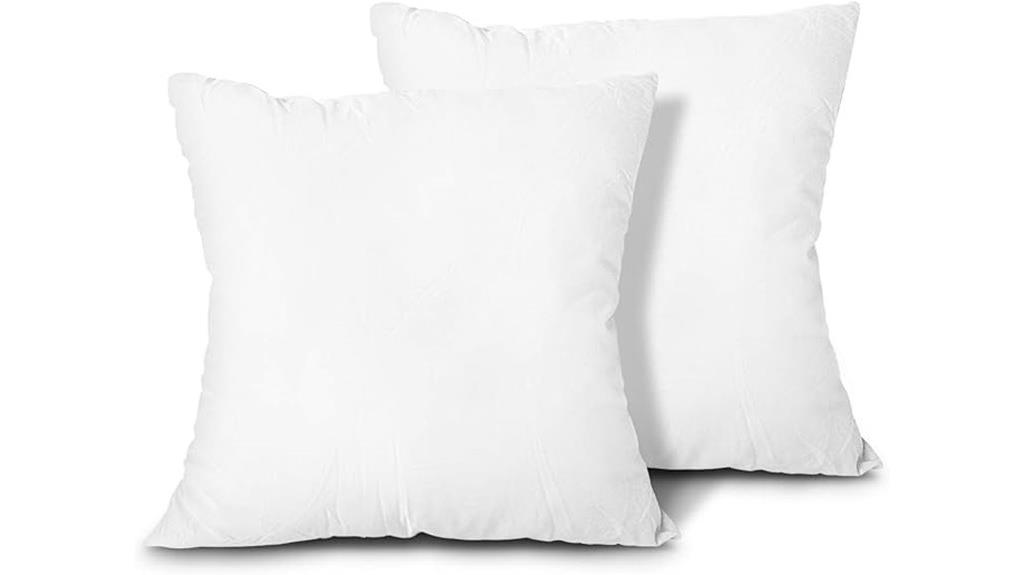 set of two pillow inserts