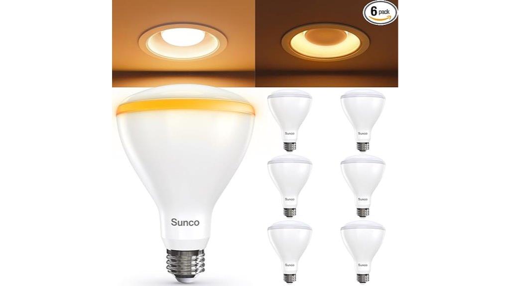 six pack br30 night bulbs