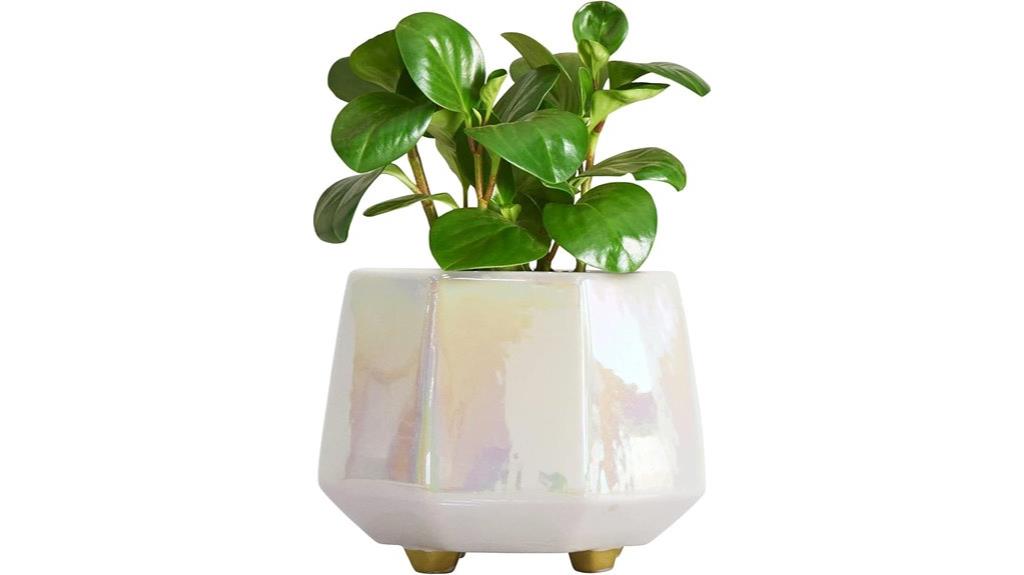 small ceramic plant pot