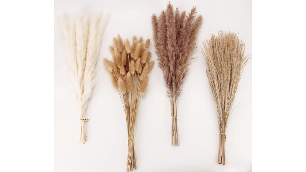 white and brown pampas grass