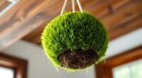 create your own moss ball