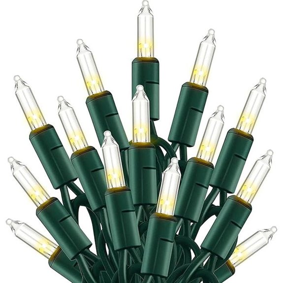 TW SHINE 20FT White Christmas String Lights Waterproof