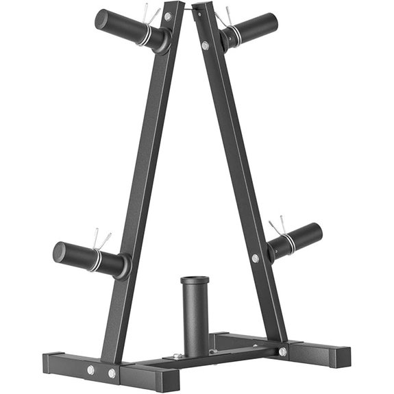 Bongkim Weight Plate Rack for Home Gym