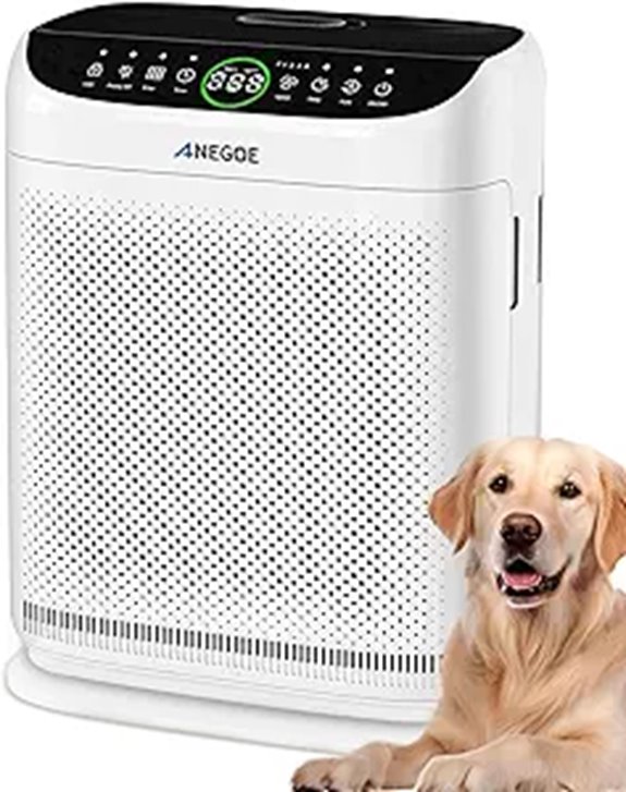 AnEgoe Large Room HEPA Air Purifier with Remote