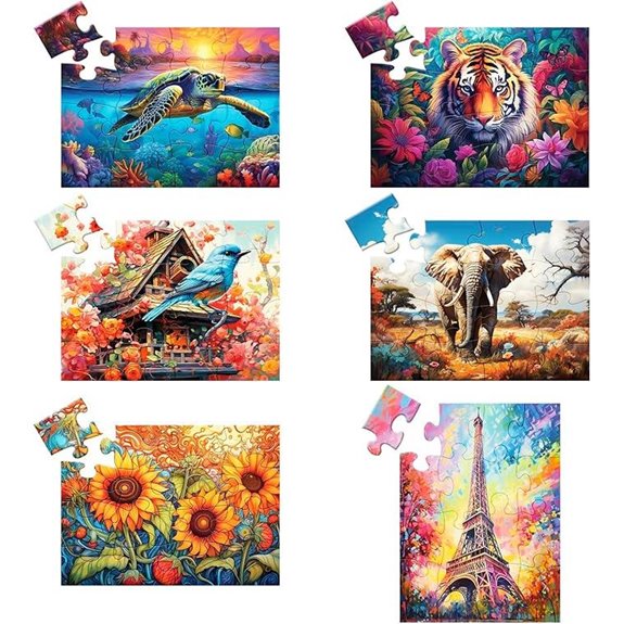 6 Pack Large Puzzles for Seniors with Storage Bags