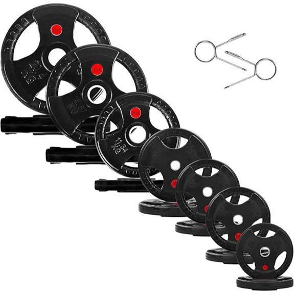 Fitvids Olympic Cast Iron Weight Plates (255 lbs)