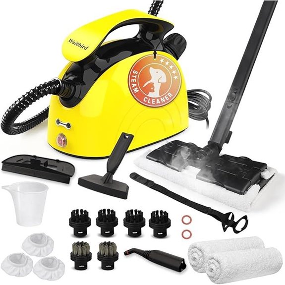 Heavy Duty Steam Cleaner for Home & Car Use